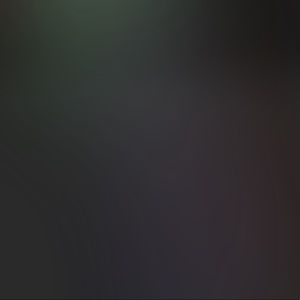 Meet your Posher, Ally